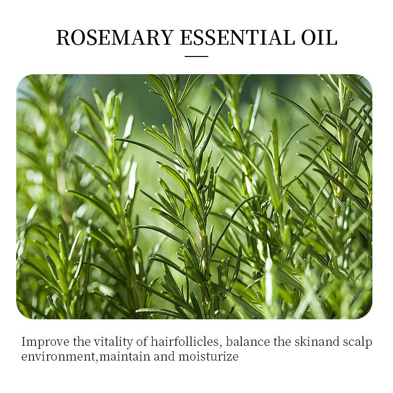 Rosemary Essential Oil For Hair Care